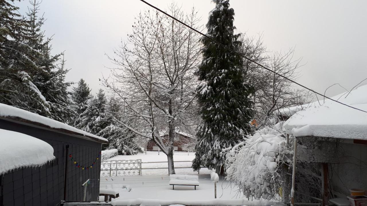 Ferienwohnungen! Kleine Bungalows Mit Terrasse! Stockhausen-Illfurth Екстериор снимка
