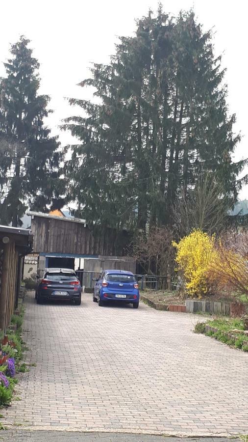Ferienwohnungen! Kleine Bungalows Mit Terrasse! Stockhausen-Illfurth Екстериор снимка